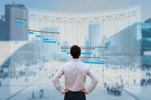project management